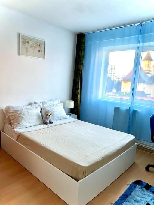 Ap 2 Cam Confortabile - Ab House Jassy Zewnętrze zdjęcie